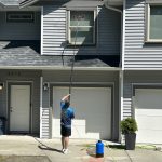 The Best Practices for Safe Moss Removal